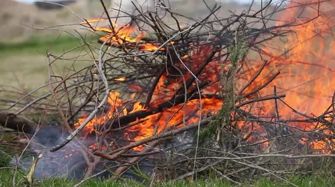 Time lapse of fire Stock Footage 49734058