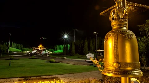 Time Lapse Firework Royal Flora tilt up Stock Footage 40541812