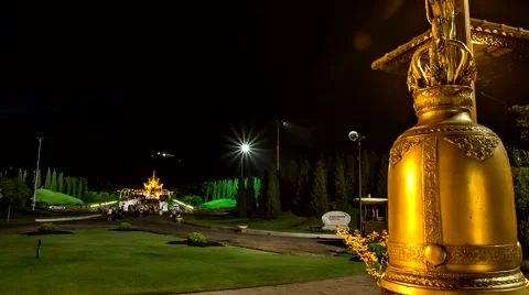 Time Lapse Firework Royal Flora zoom in Stock Footage 40541874