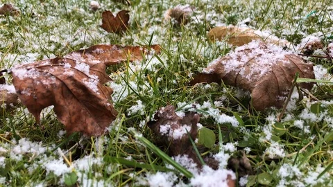 Time Lapse First snow on the grass with lantern and candle Stock Footage 125052949