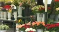 Time lapse of flowers shop in Market Square, Krakow, Poland HD Footage