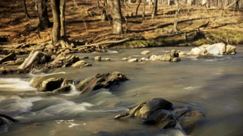 Time lapse of a flowing stream Stock Footage 306251061