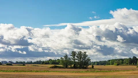 Time lapse fluffy cloud flowing on natural forest mountain  Stock Footage 177386606