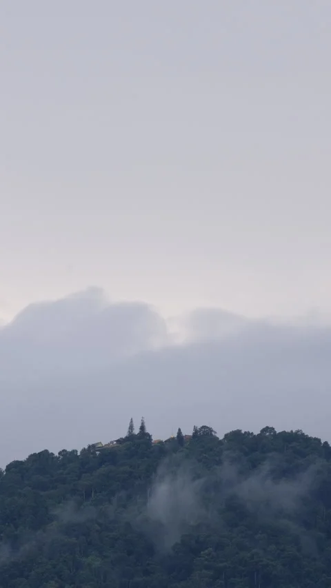 Time lapse of fluffy mist and cloud moving. Stock Footage 311809004