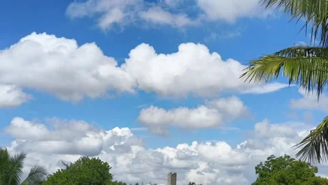Time-lapse of Fluffy White Clouds Moving Across Blue Sky Stock Footage 320799221