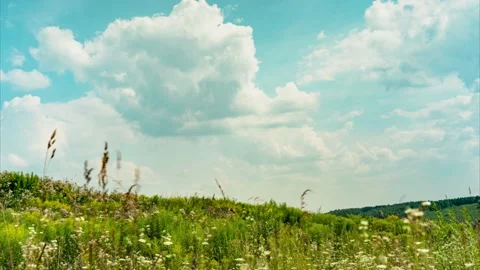Time lapse of flying clouds over a field of wild grasses. Stock Footage 159814083