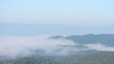 Time lapse of fog and clouds moving over tree. Stock Footage 86971825