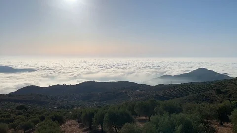 Time Lapse: Fog and clouds build with olive groves in the foreground Stock Footage 118964727