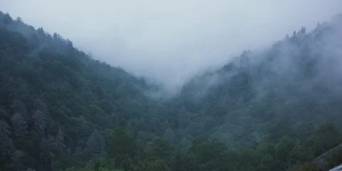 Time-lapse of Fog floating over the forest on the mountain slope Stock Footage 103400561