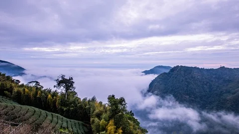 Time Lapse - Fog Moving Over the Valley in the Tea Farm at Evening - Taiwan Stock Footage 101710975