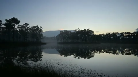Time lapse of fog moving over pond in Everglades National Park at dawn 4K. Stock Footage 221722376