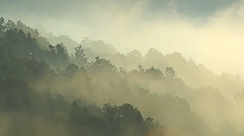 Time lapse of fog rolling over the mountain hills with forest Stock Footage 54703550