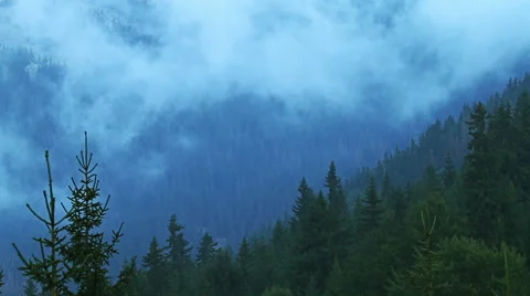Time lapse of fog rolling in over the hills with pine tree forest Stock Footage 54708288