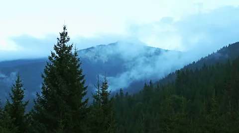 Time lapse of fog rolling in over the hills with pine tree forest Video stock 54708360