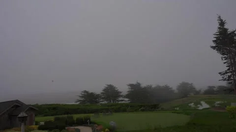 Time-lapse of Fog Rolling in Over a Beautiful Garden Stock Footage 246717224