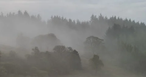 Time lapse of fog rolling over a forest Stock-Footage 276174400