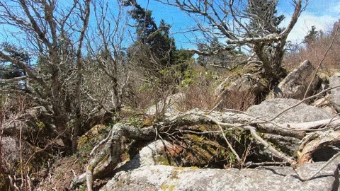 Time lapse on foot on a mountain sunny Stock Footage 106947038
