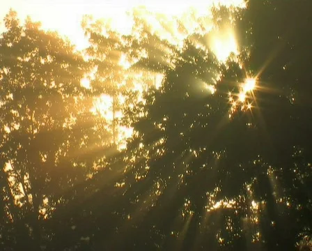 Time  lapse Видео 667102