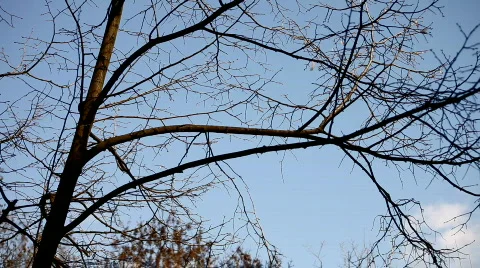 Time Lapse Stock-Footage 720876