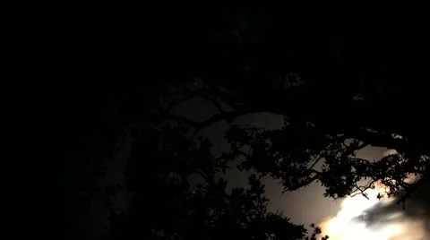 Time lapse Stock Footage 12583326