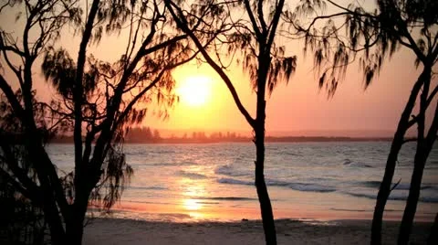 Time lapse Stock Footage 12584569