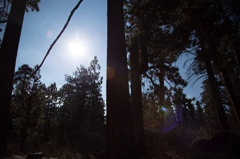 Time-Lapse Stock Footage 78387622