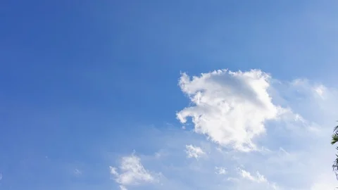 The time lapse footage of the clouds sky. Stock Footage 110661471
