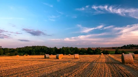 Time lapse footage of hay bail. Stock Footage 79486133