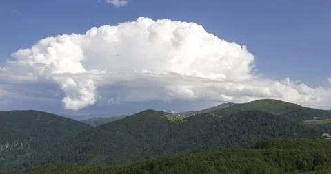 Time Lapse Footage of Pine Forests and Cloudy Blue Sky Stock Footage 332562818