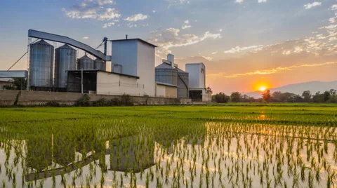 Time lapse footage Rice Mill and reflection Day to night Video stock 47721060