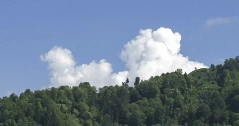 Time-Lapse Footage of Virgin Forests and Cumulus Clouds Stock Footage 332037699