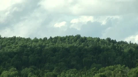 Time lapse of forest and clouds Stock Footage 41131328