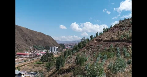 Time lapse of forest with city in the background Stock Footage 293093585