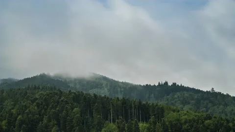 Time Lapse Forest Clouds Foggy Mountains 8K Stock Footage 176849544