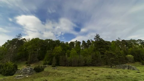 Time Lapse Forest Edge Clouds Schwäbische Alb Edge of the forest 8K Stock Footage 176849732