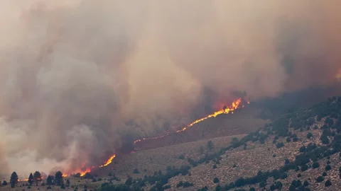 Time Lapse Forest Fire Burning Mountainside 스톡 동영상 248071374