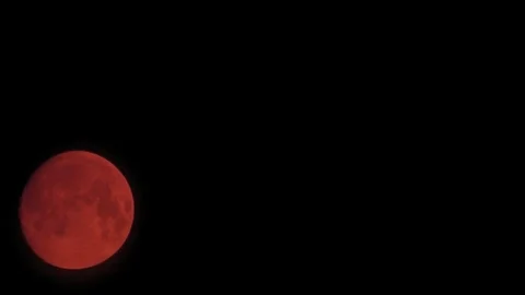 Time Lapse forest fire orange red blood moon and clouds night dark skies Stock Footage 81569814