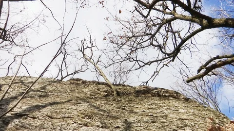 Time lapse - in the forest Stock Footage 103041912