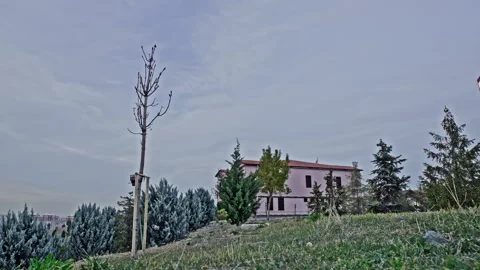 Time-Lapse of Forest Museum and Reading Room in Park Landscape Stock Footage 321660143