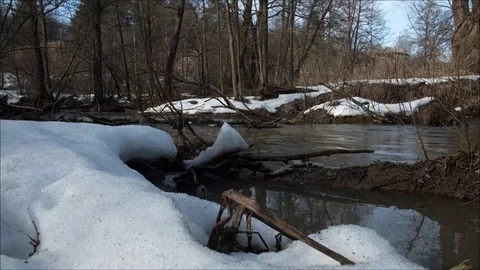 Time-Lapse forest, snow, Small river Stock Footage 74356825