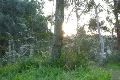 Time Lapse Forest Sunlight SD 01 x20 Footage