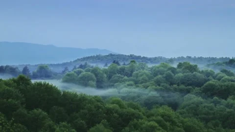 Time -lapse of forests shot from the top of a mountain Stockbeeldmateriaal 208090489