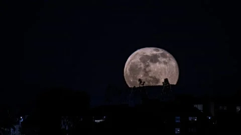 Time-Lapse Full Moon Moonrise Behind Trees and Mountain Stock Footage 168276379