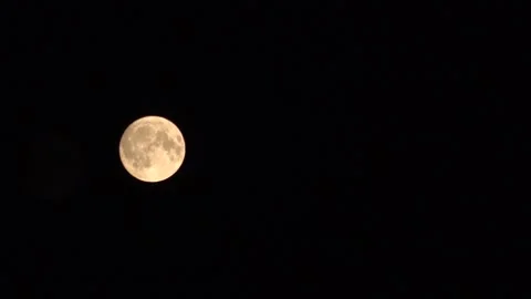 A Time Lapse Of A Full Moon Passing Behind A Tree At Nighttime 库存影片 341677791