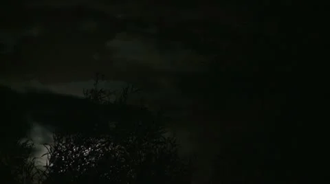 Time Lapse of Full Moon Rising Behind Brush Stock Footage 10715198