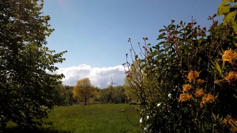 Time lapse in the garden, spring in motion, Bremerhaven Germany, Landscape view 库存影片 150053911