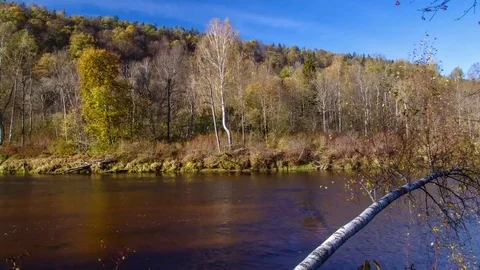 Time lapse on the Gauja river. Stock Footage 71468787