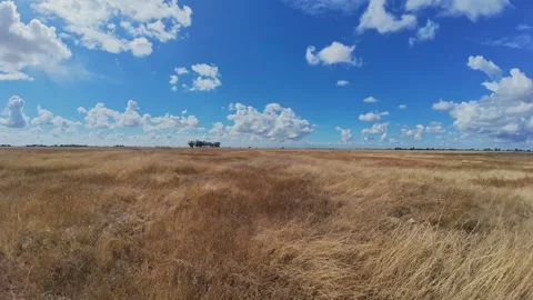 Time Lapse golden grass fields under moving clouds 스톡 동영상 330628530