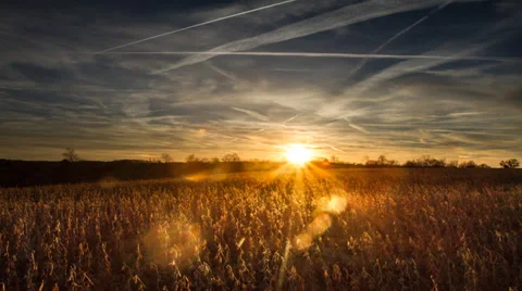 Time Lapse - Golden Sky Stock Footage 39554676