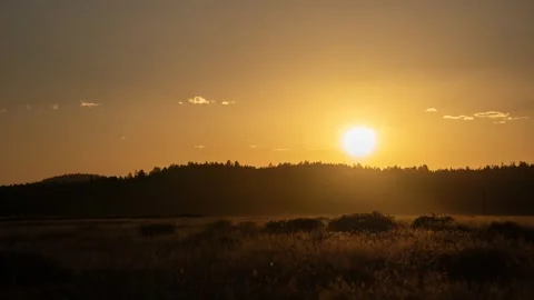 Time lapse of a golden sunset over a forest meadow Stock Footage 287512677